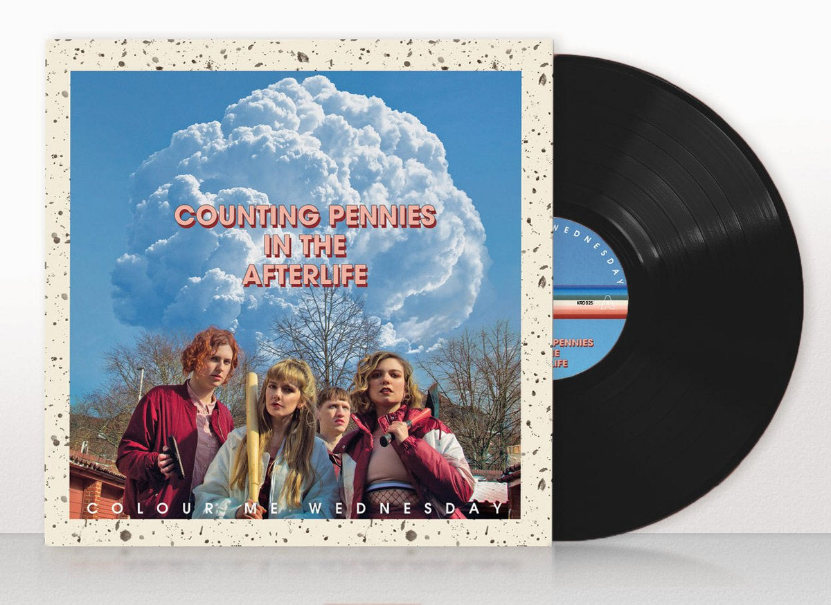 Colour Me Wednesday 12" Vinyl - Counting Pennies in the Afterlife
